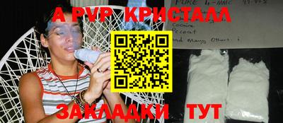 прущие грибы Моздок