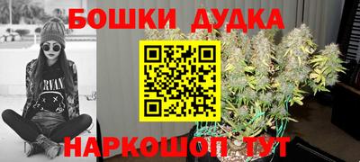 прущие грибы Моздок