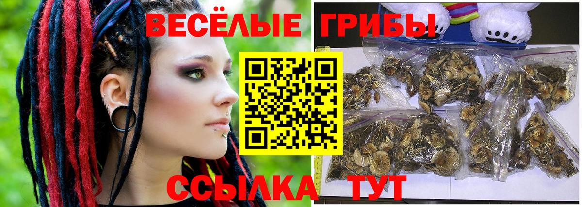 Заречный  Галлюциногенные грибы Psilocybine cubensis  Вход с VPN  Псилоцибиновые грибы Cubensis 